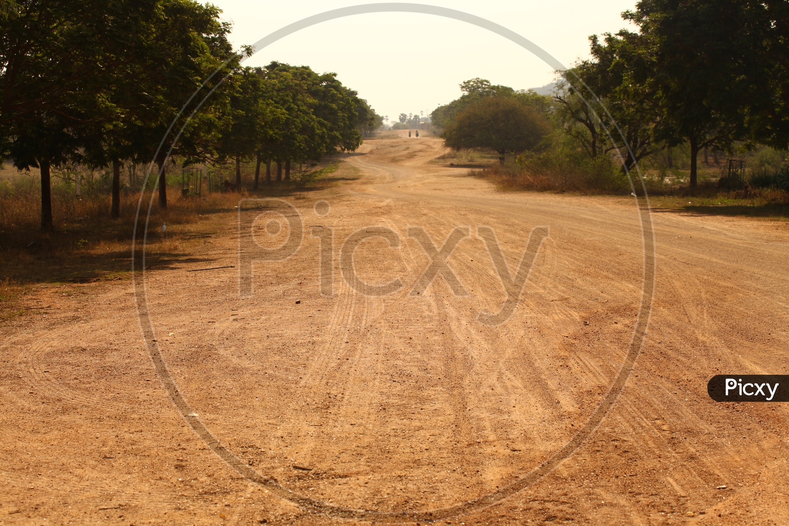 Road Photo