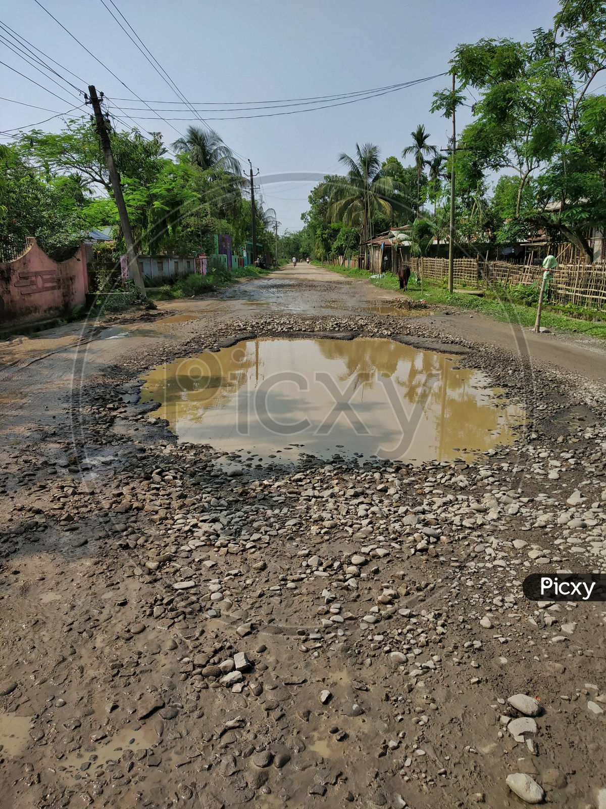Road Photo